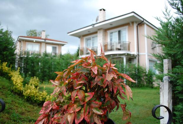 Sapanca Villa La Mira - Görsel 3