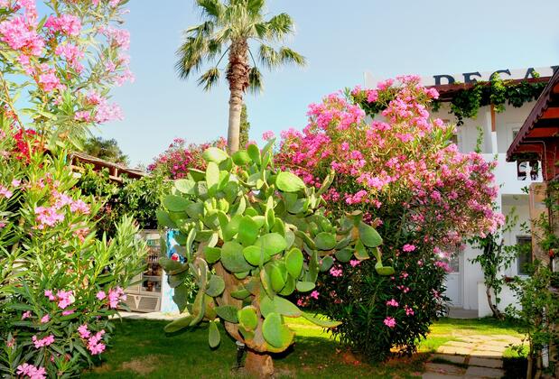 Regal Hotel Bitez - Görsel 4