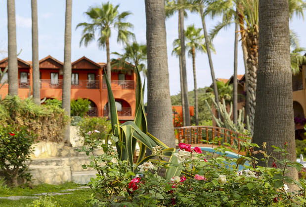 Green Paradise Hotel - Görsel 9