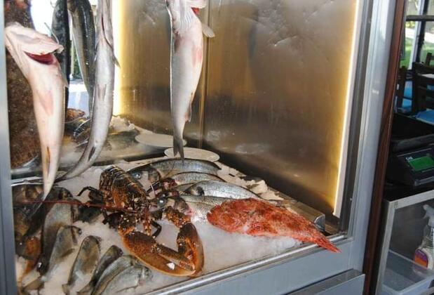 Hotel Ezer - Görsel 14