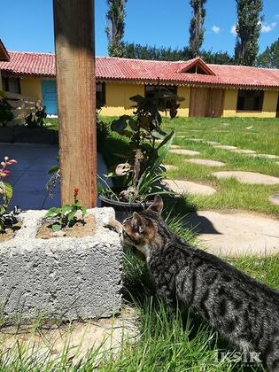 İksir Resort Town - Görsel 17