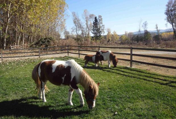 İksir Resort Town - Görsel 19