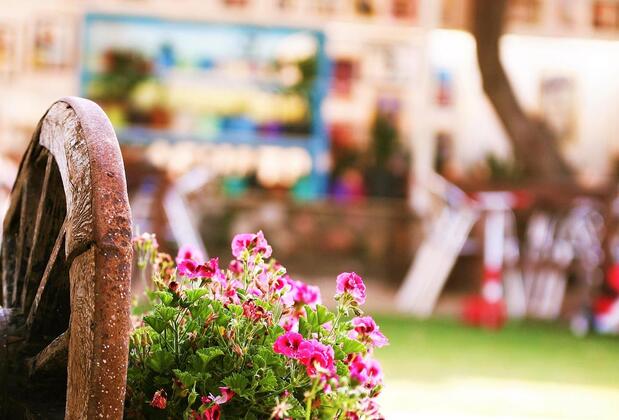 Gümüldür Mavi Deniz Otel - Görsel 13