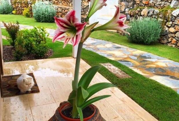 D&C Göcek Hotel - Görsel 21