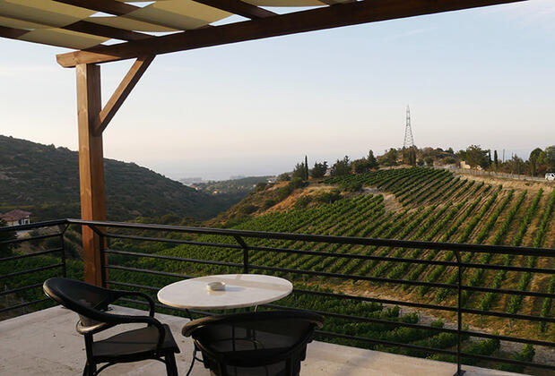 Gillham Vineyard Hotel - Görsel 25