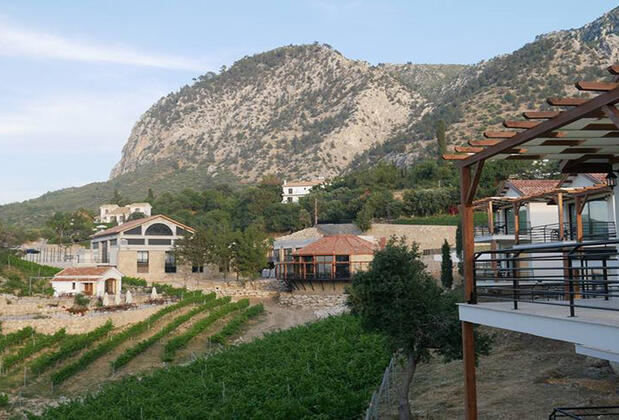 Gillham Vineyard Hotel - Görsel 26