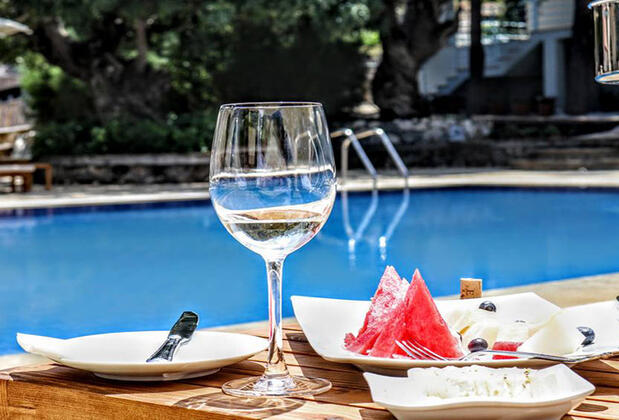 Gillham Vineyard Hotel - Görsel 6