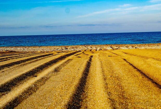 Throne Beach Resort & Spa - Görsel 36