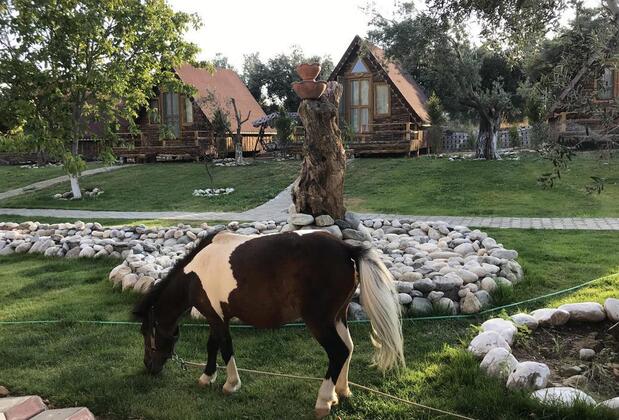 Kazdağları İda Natura Bungalov Otel - Görsel 29