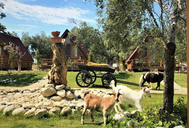 Kazdağları İda Natura Bungalov Otel - Görsel 6