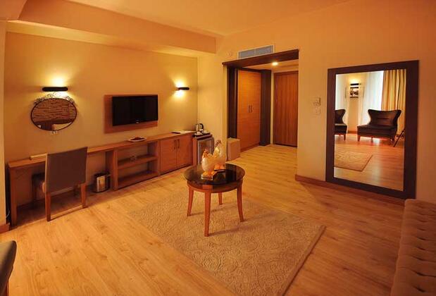 Paris Park Hotel - Görsel 41