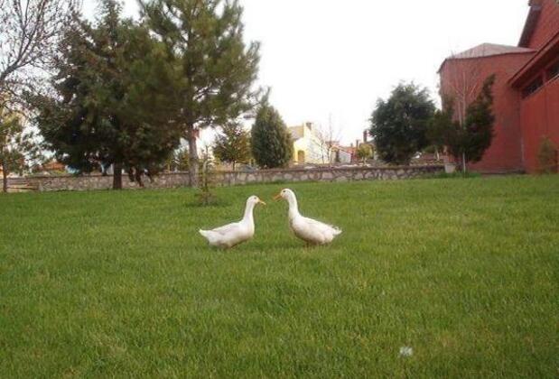 Ömer Thermal Tatil Köyü - Görsel 3