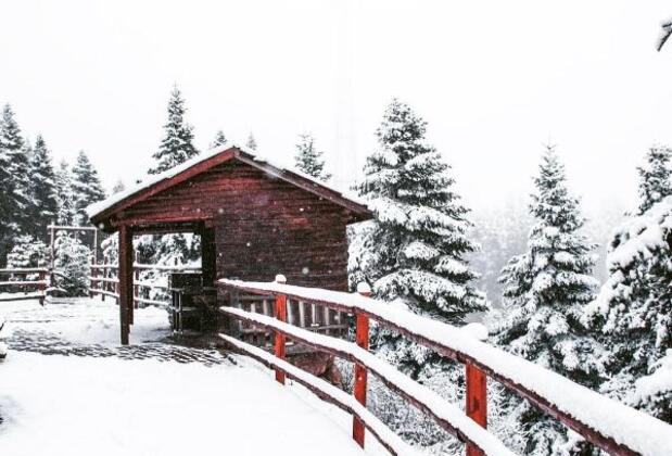 The Sign Esentepe Hotel & Ski Center - Görsel 26