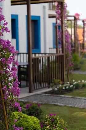 Dorman Suites Hotel - Görsel 4