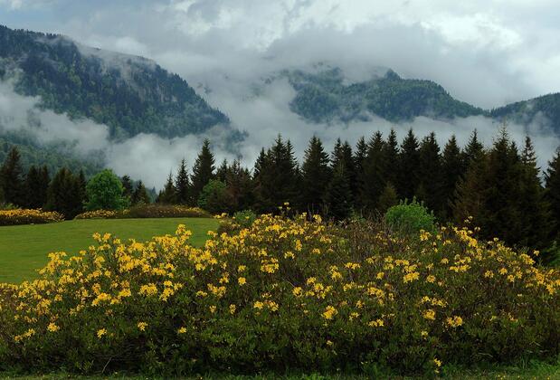 Home Stay Süllü Dağ Evi - Görsel 11