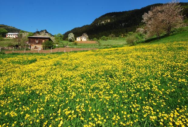 Home Stay Süllü Dağ Evi - Görsel 9