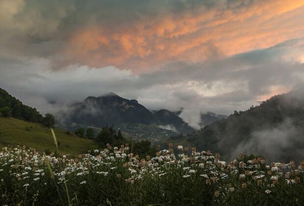 Home Stay Süllü Dağ Evi - Görsel 18