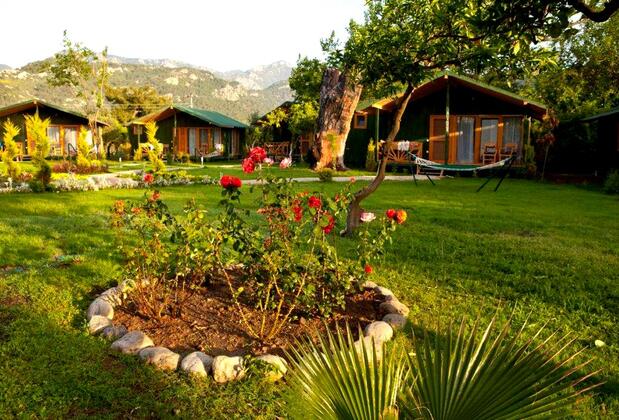 Etenna Bungalow - Görsel 3