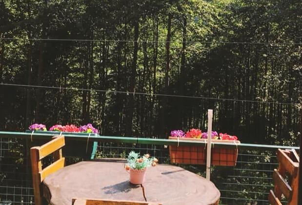 Ayder Smail Oberj Cafe Dağ Evi - Görsel 13