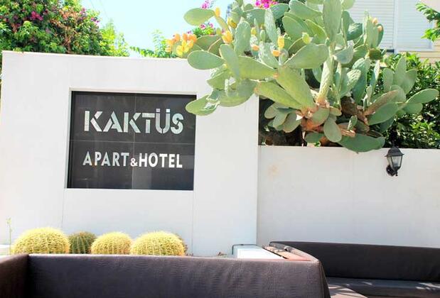 Kaktüs Apart - Görsel 3