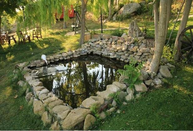 Ataol Tatil Çiftliği - Görsel 26