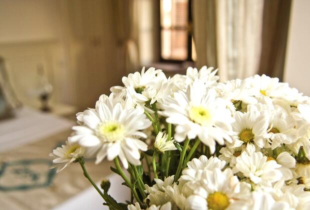 Siyah Lale Otel Cunda - Görsel 13