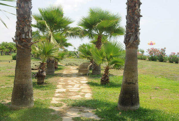 İron Ambassador Side Beach - Görsel 11