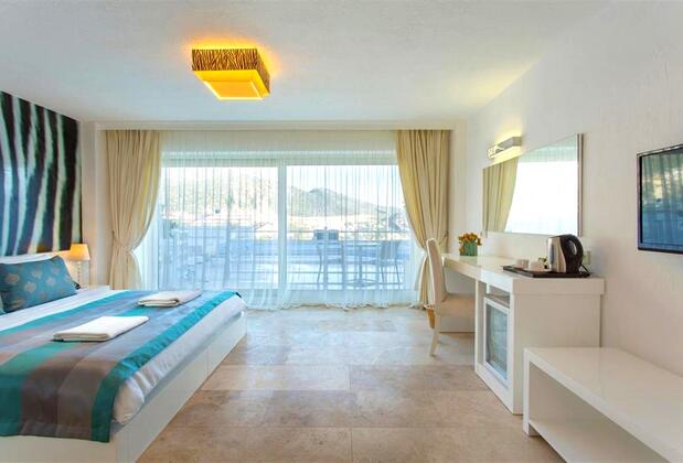 Saray Hotel - Görsel 3