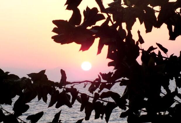 Selen Motel - Görsel 16