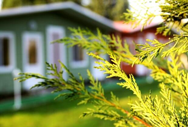 Sapanca Bungalov - Görsel 4