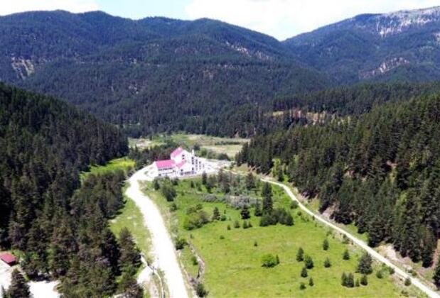 Ilgaz Hotel Mountain & Ski - Görsel 22