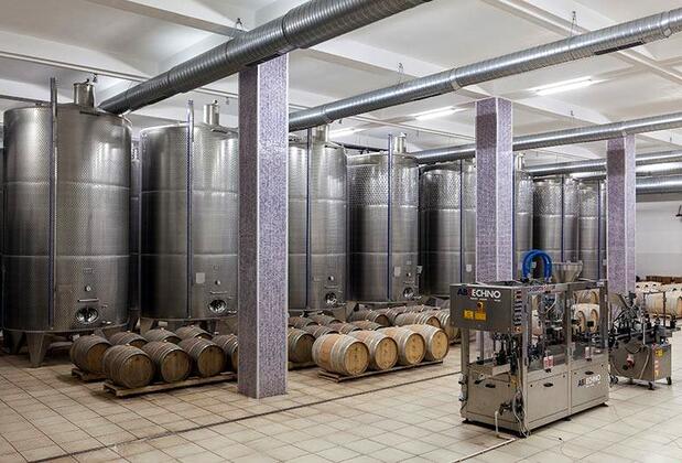 Anemon Villa Estet Bağ Hotel - Görsel 26