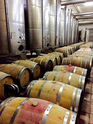 Anemon Villa Estet Bağ Hotel - Görsel 13