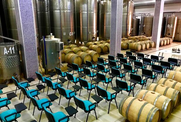 Anemon Villa Estet Bağ Hotel - Görsel 24