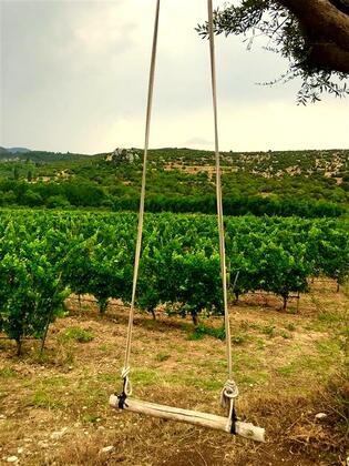 Anemon Villa Estet Bağ Hotel - Görsel 11