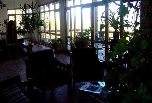 Lucky Deer Bolu - Görsel 8