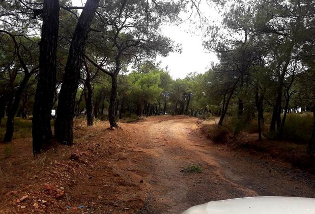 Ayvalık Kamping Saklı Cennet - Görsel 13