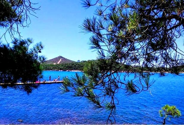 Ayvalık Kamping Saklı Cennet - Görsel 3