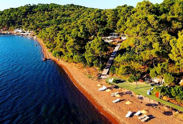 Ayvalık Kamping Saklı Cennet - Görsel 6