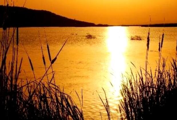 Ainos Holiday Resort Hotel - Görsel 6