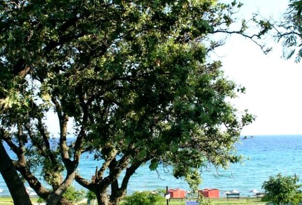 Ainos Holiday Resort Hotel - Görsel 8