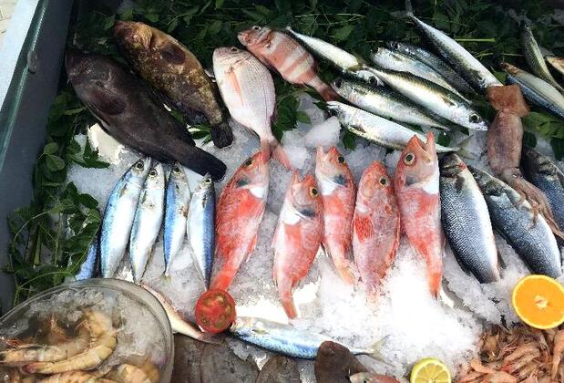 Anadolu Palace Hotel - Görsel 14