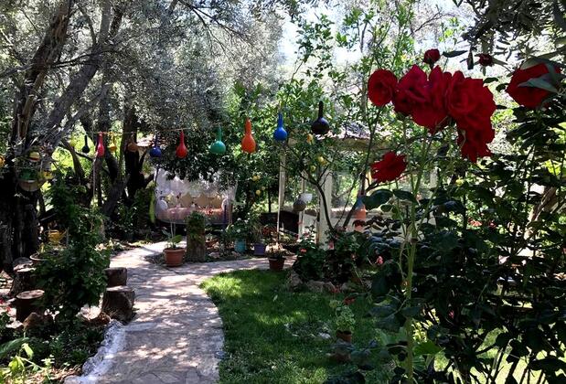 Butterfly Guest House - Görsel 7