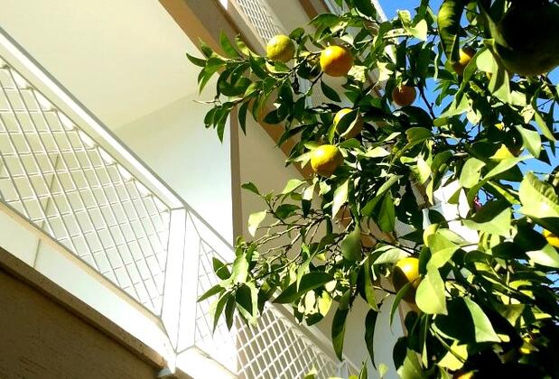 Vira Apart Otel - Görsel 10