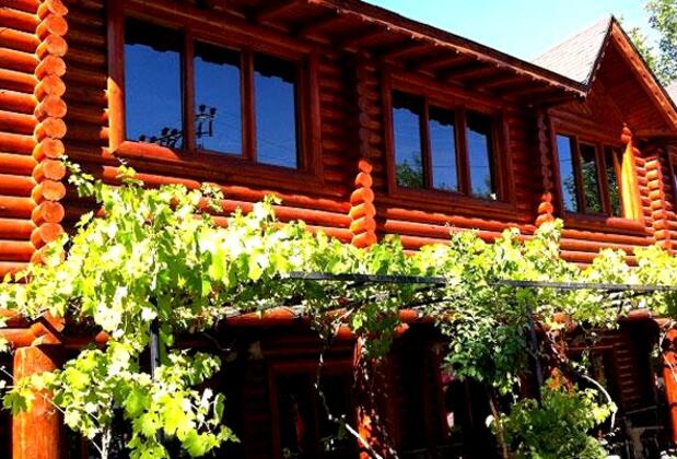 Binkap Termal Hotel - Görsel 5