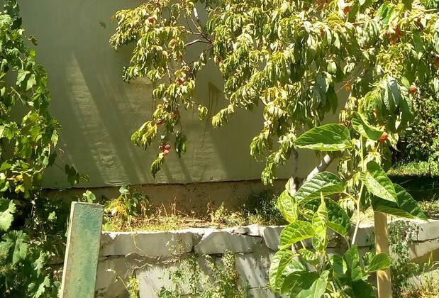 Turan Pansiyon ve Konaklama - Görsel 8