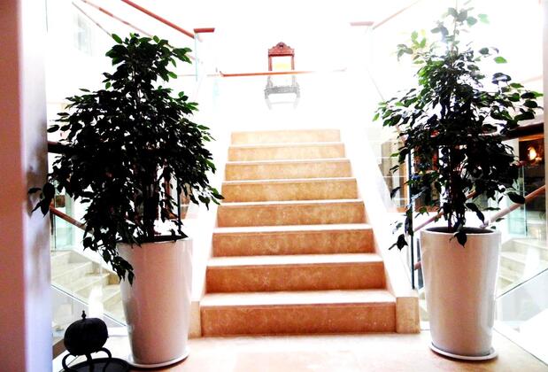 Şonef House Otel - Görsel 17