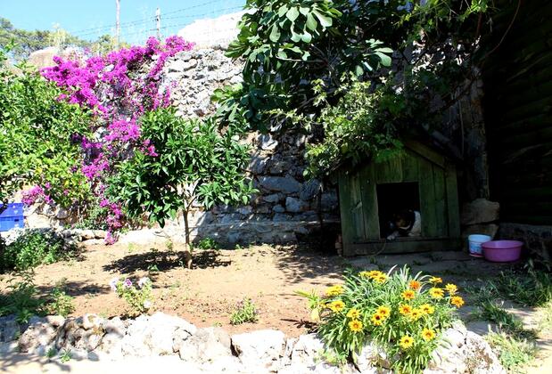 Şahin Tepesi Cafe & Restaurant - Görsel 4