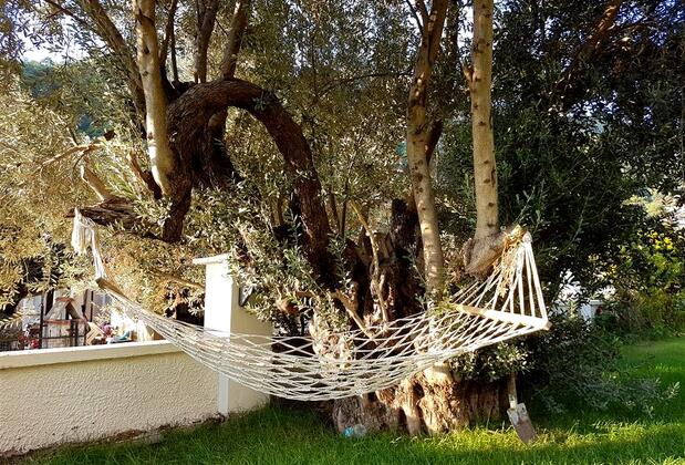 Z Exclusive Hotel & Villa - Görsel 5