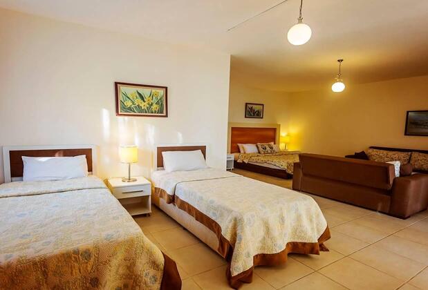 Paradise Garden - Görsel 35